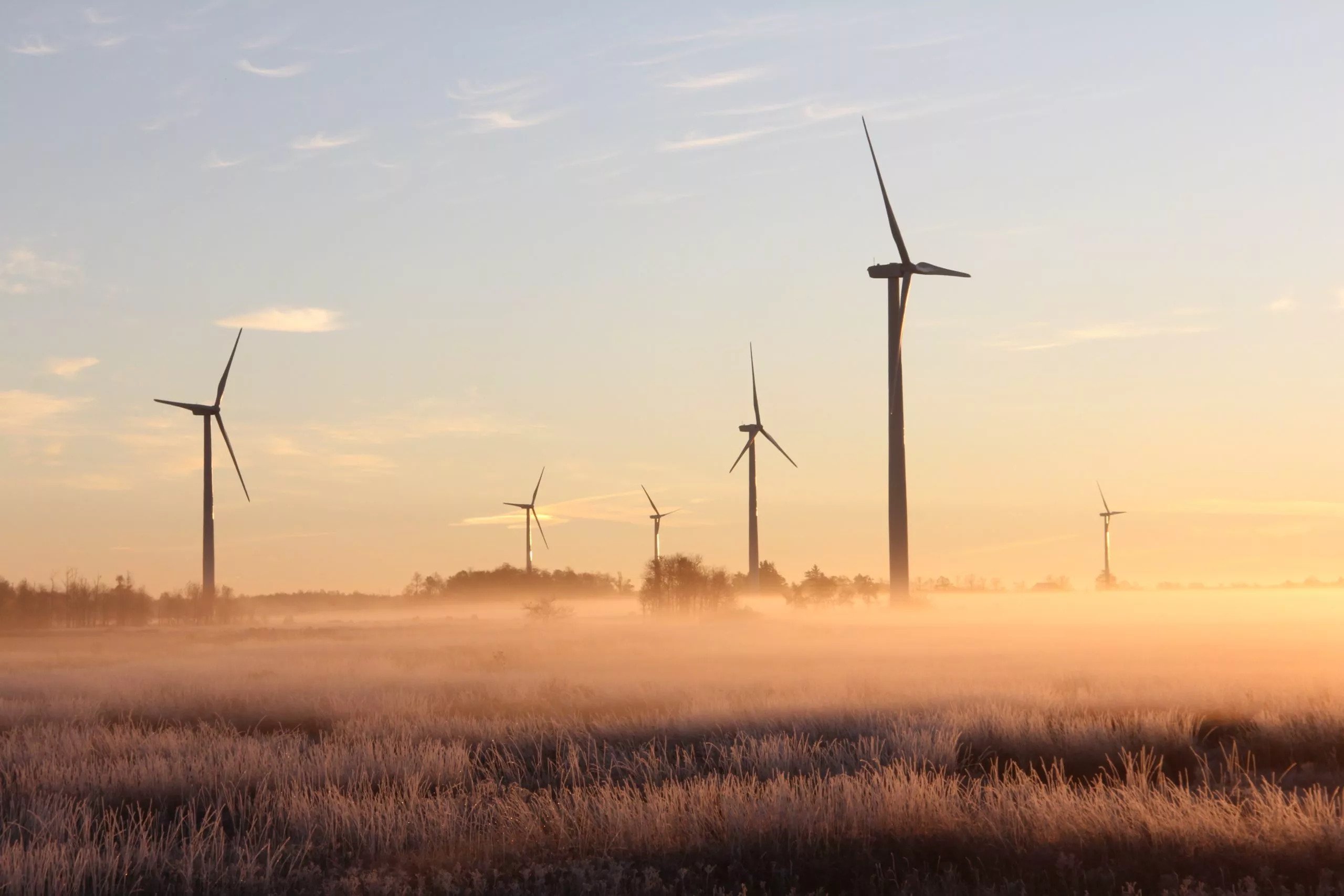 Ridurre l'impatto ecologico delle aziende